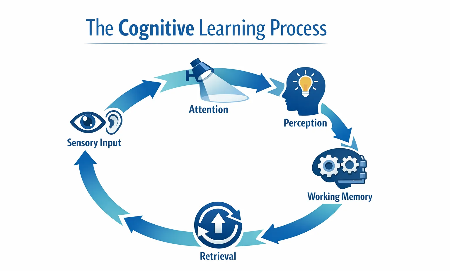 Diagram showing attention, perception, working memory, long-term memory, and retrieval in cognitive learning theory.