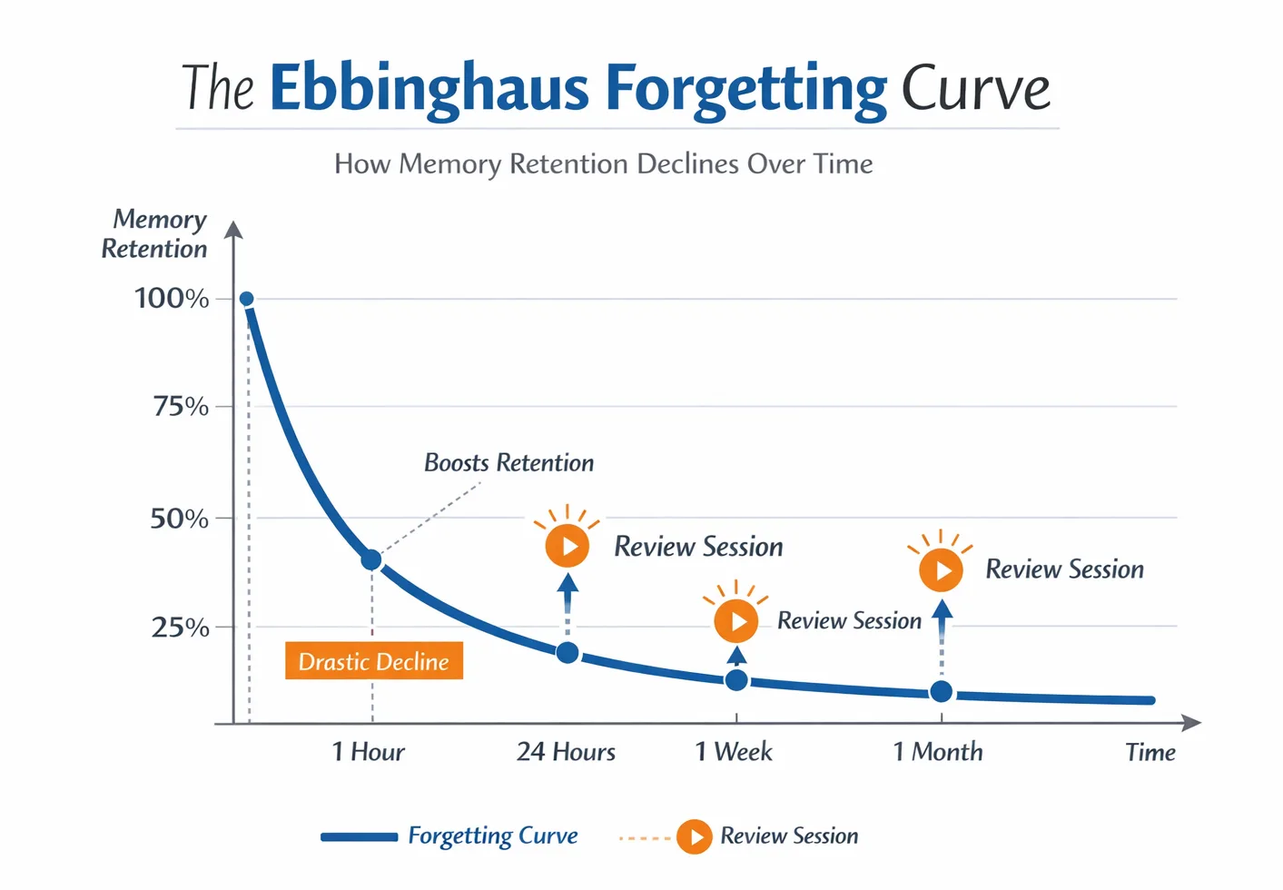Graph showing the Ebbinghaus forgetting curve and memory decline over time without review.