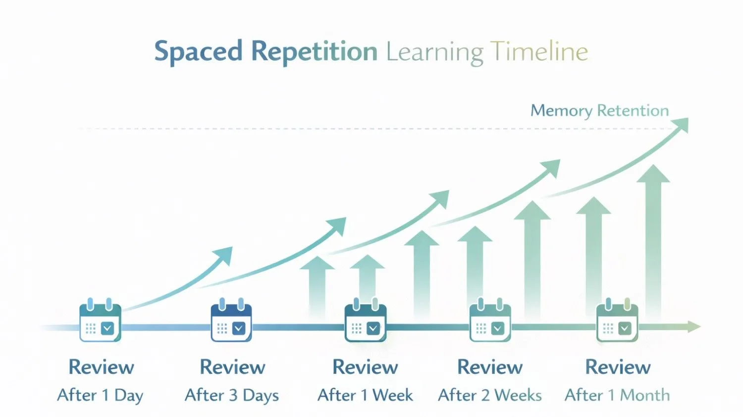 Timeline showing spaced repetition review intervals improving long-term memory.