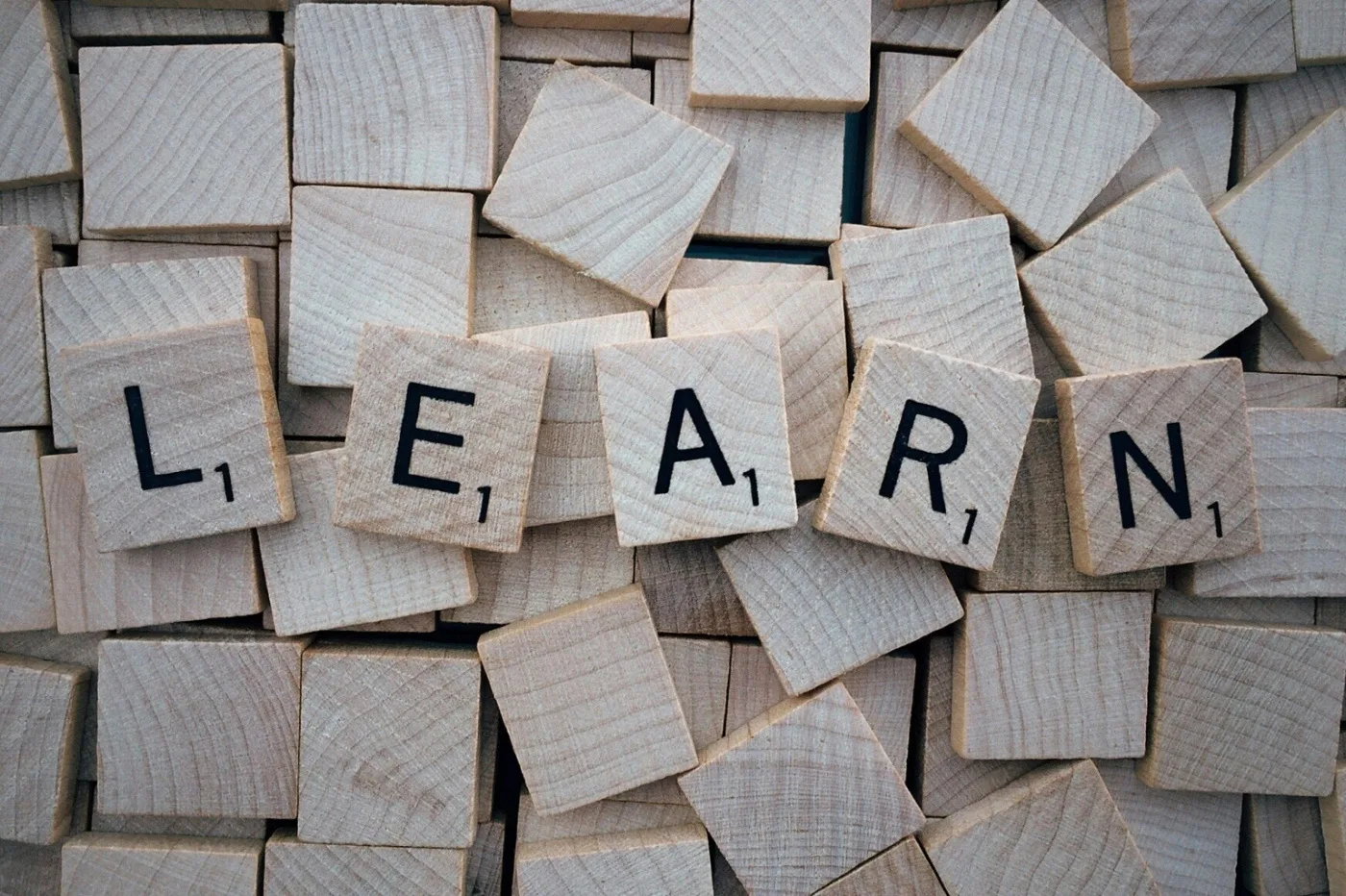 Cognitive Processes in Learning
