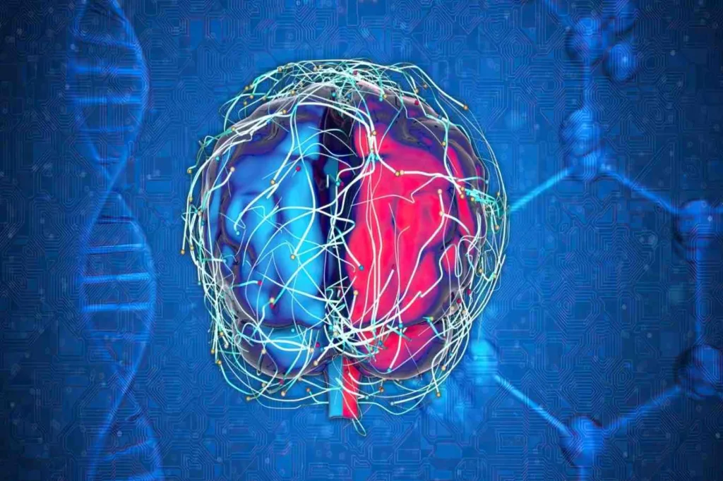 neuroplasticity