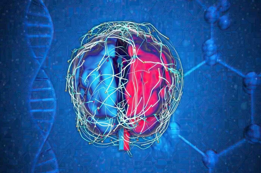 neuroplasticity
