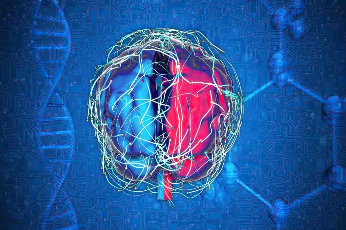 neuroplasticity